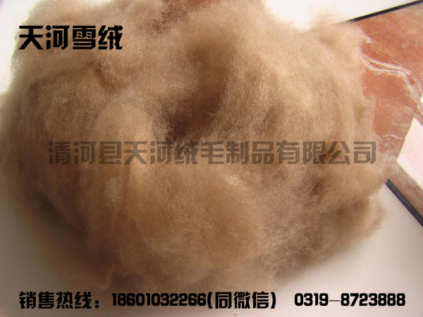 Camel hair raw material