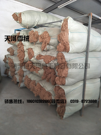 Camel hair raw material