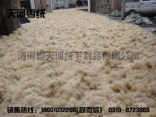 Alpaca raw mat...