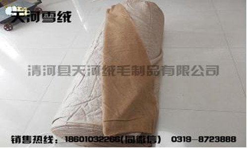 驼毛与驼绒的区别